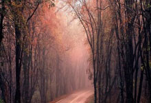 2025扬州鉴真半程马拉松鸣枪开跑 首次启用人脸核验终端3-30 16：15.