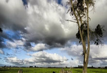 李霄鹏重掌海牛帅印已成定局.