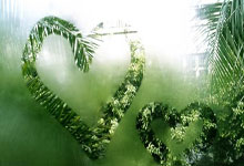 开云体育：魔術主帥贊賞薩格斯的三分出手狀態 並對他的投籃能力充滿信心.